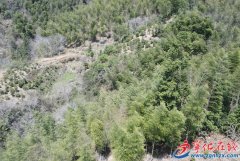 <b>结实“目前供给理论取实操培训</b>